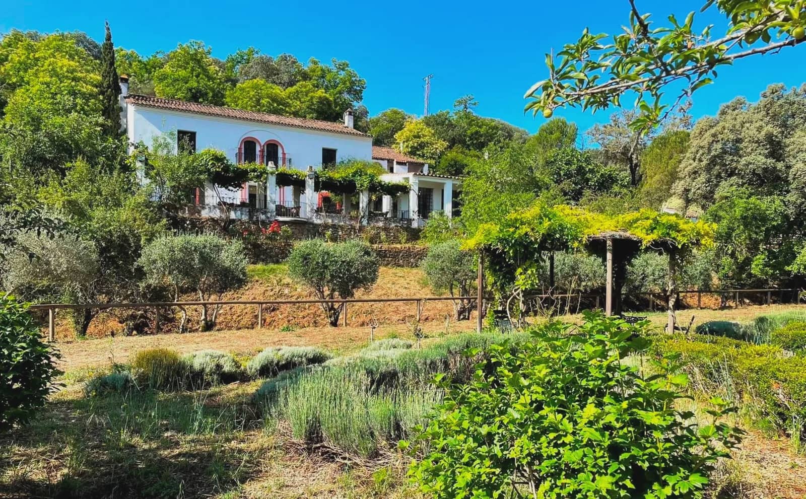 25 quarto Hotel para venda em Aracena com piscina - 3 500 000 € (Ref: 8900870)