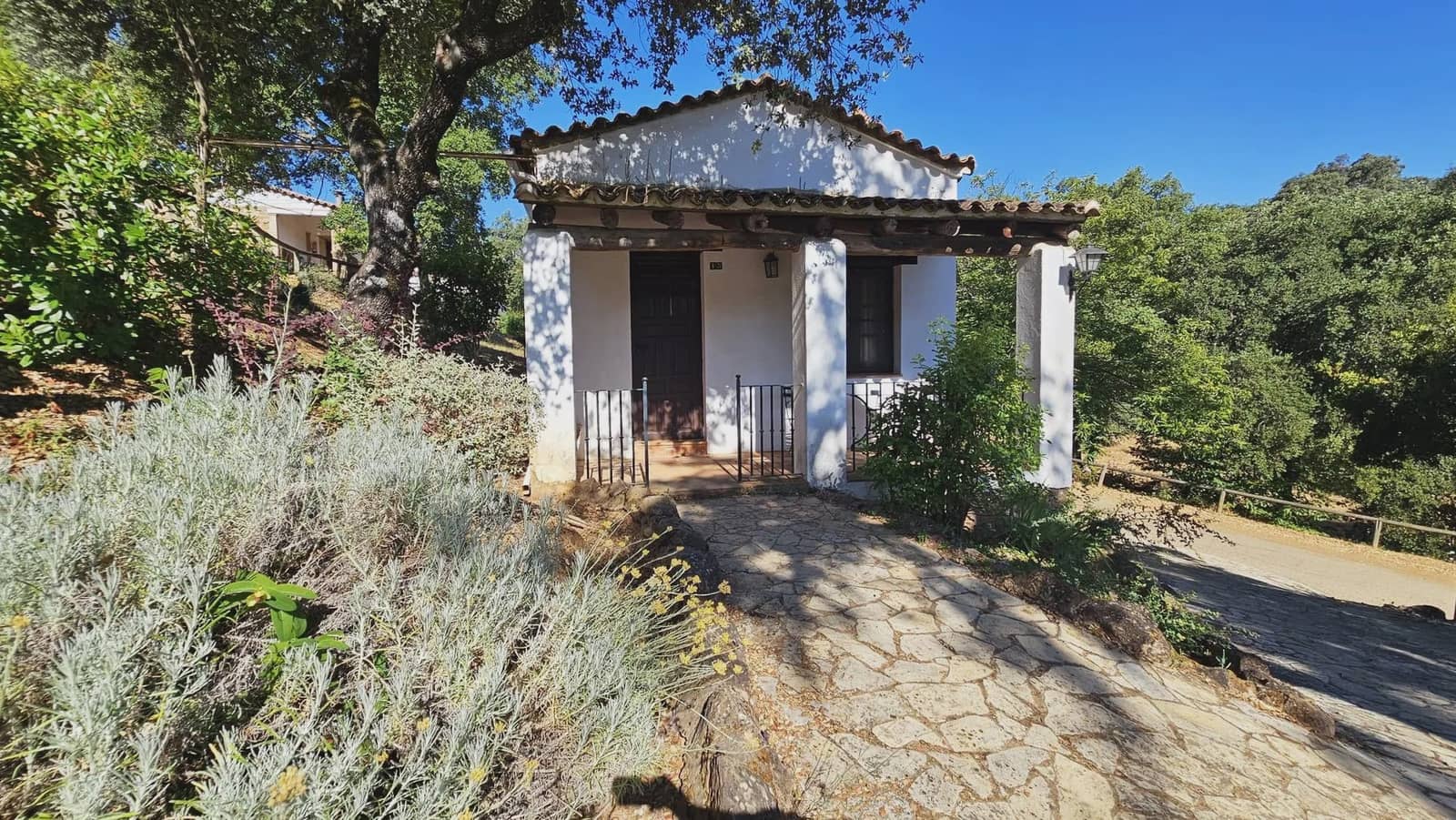 25 quarto Hotel para venda em Aracena com piscina - 3 500 000 € (Ref: 8900870)