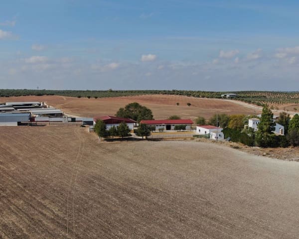 5 bedroom Finca/Country House for sale in La Puebla de Cazalla with pool - € 900,000 (Ref: 8917440)