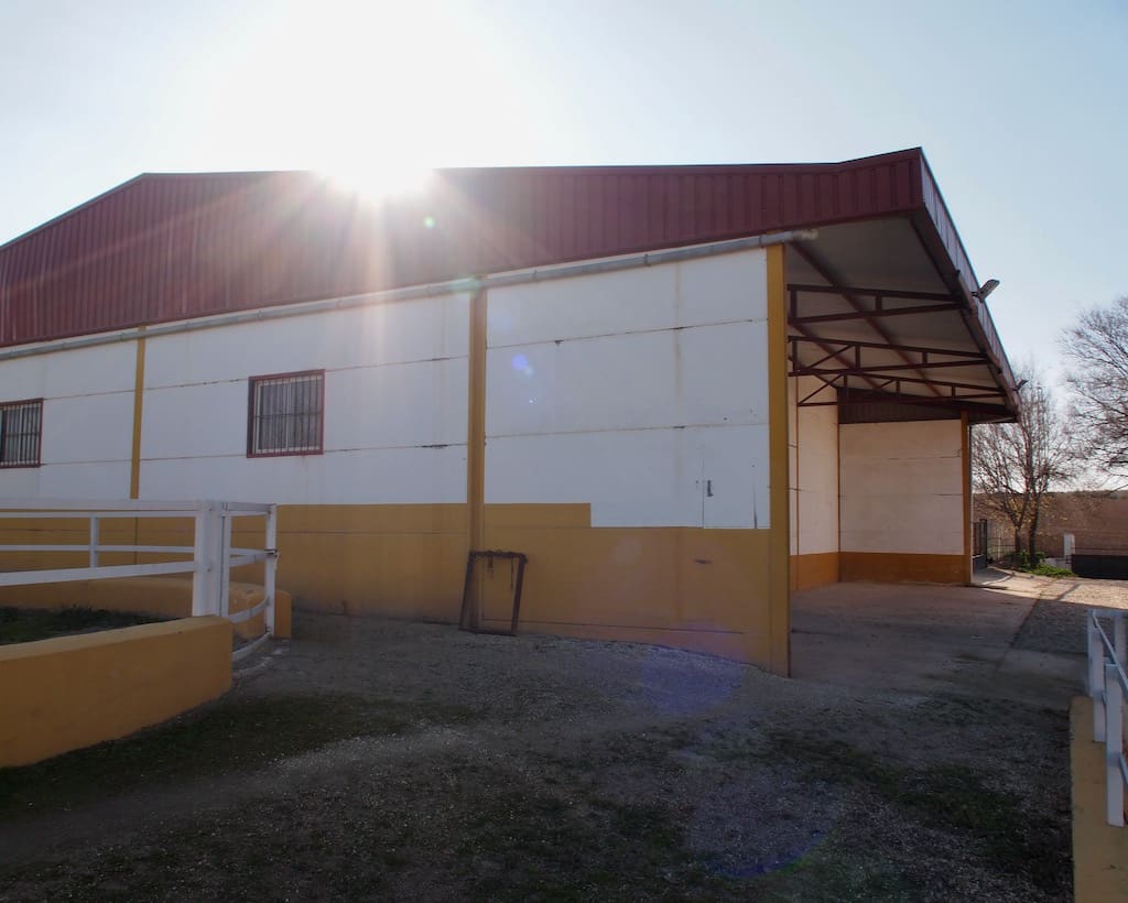 5 soveværelse Finca/Landehus til salg i La Puebla de Cazalla med swimmingpool - € 900.000 (Ref: 8917440)