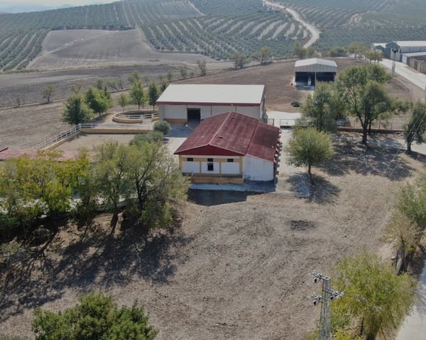 5 bedroom Finca/Country House for sale in La Puebla de Cazalla with pool - € 900,000 (Ref: 8917440)