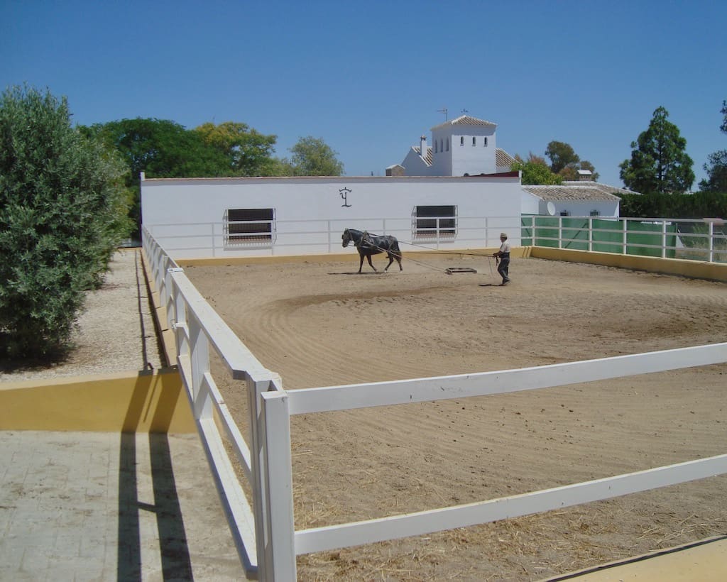 5 soveværelse Finca/Landehus til salg i La Puebla de Cazalla med swimmingpool - € 900.000 (Ref: 8917440)