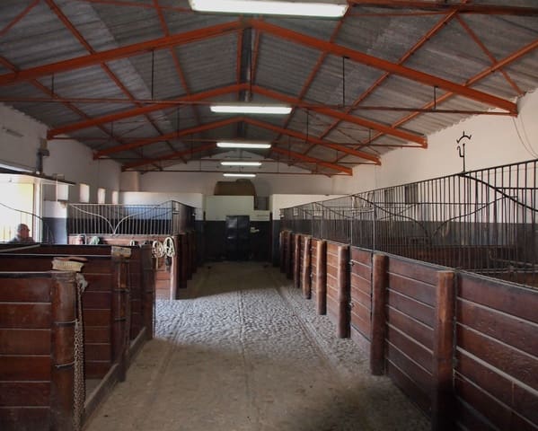 5 bedroom Finca/Country House for sale in La Puebla de Cazalla with pool - € 900,000 (Ref: 8917440)