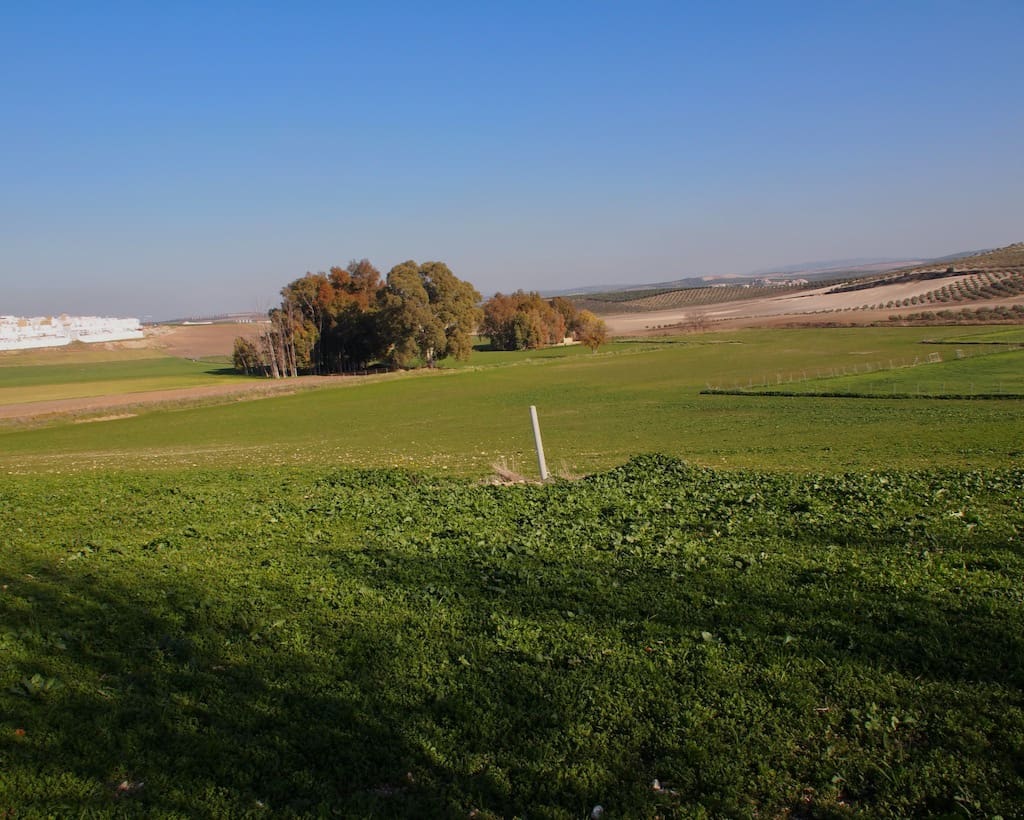 5 soveværelse Finca/Landehus til salg i La Puebla de Cazalla med swimmingpool - € 900.000 (Ref: 8917440)