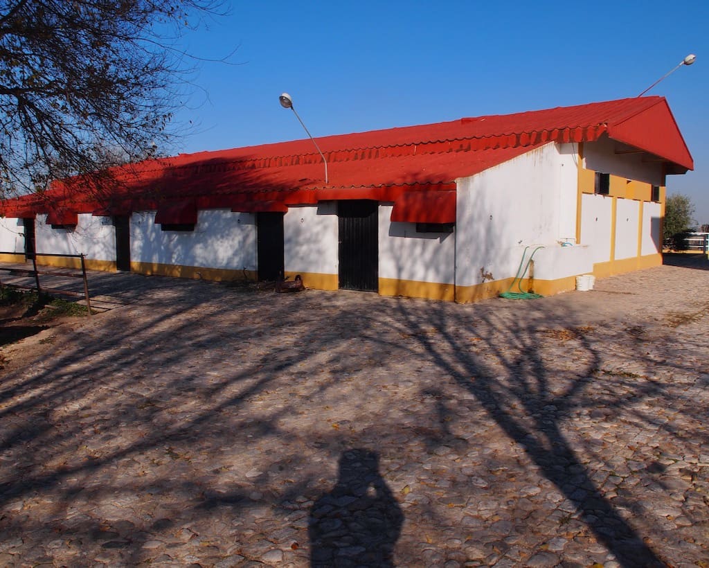 5 soveværelse Finca/Landehus til salg i La Puebla de Cazalla med swimmingpool - € 900.000 (Ref: 8917440)