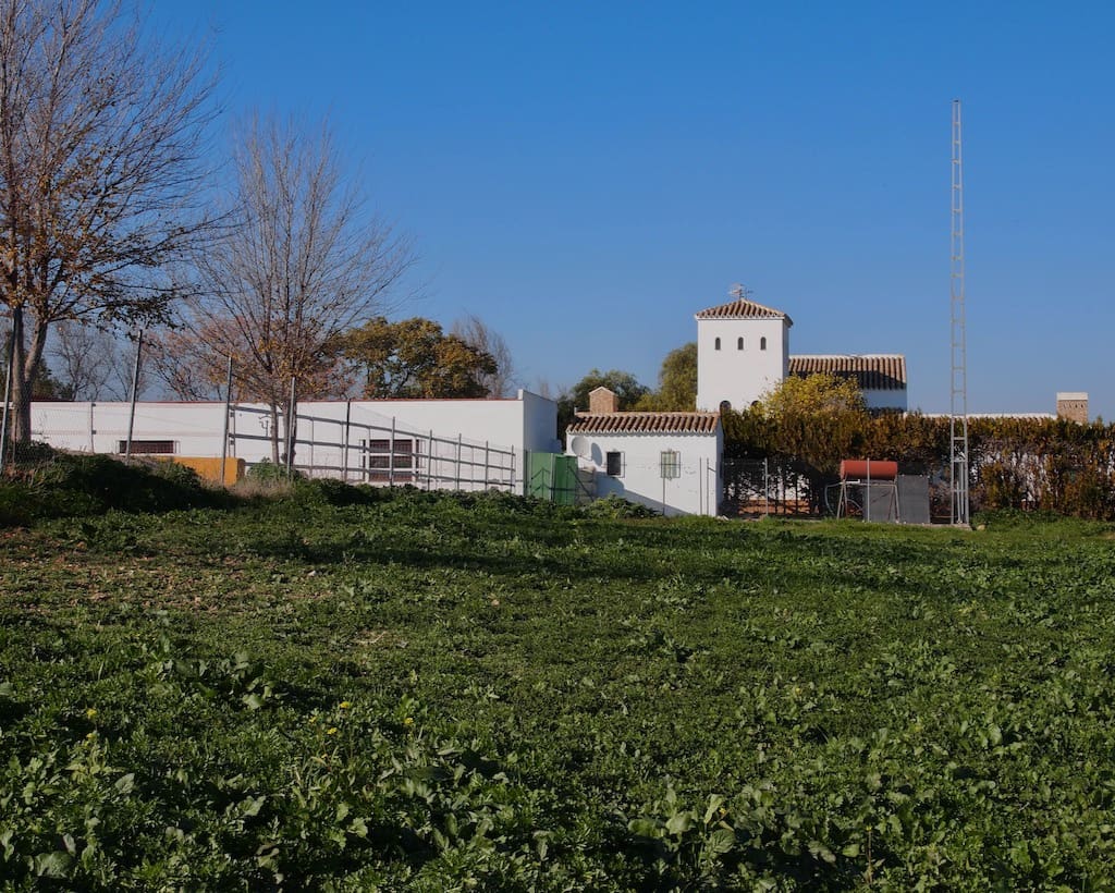 5 soveværelse Finca/Landehus til salg i La Puebla de Cazalla med swimmingpool - € 900.000 (Ref: 8917440)