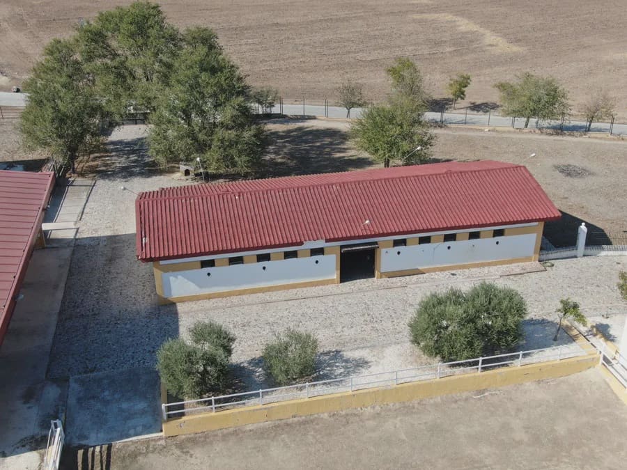 5 chambre Finca/Maison de Campagne à vendre à La Puebla de Cazalla avec piscine garage - 750 000 € (Ref: 8917440)