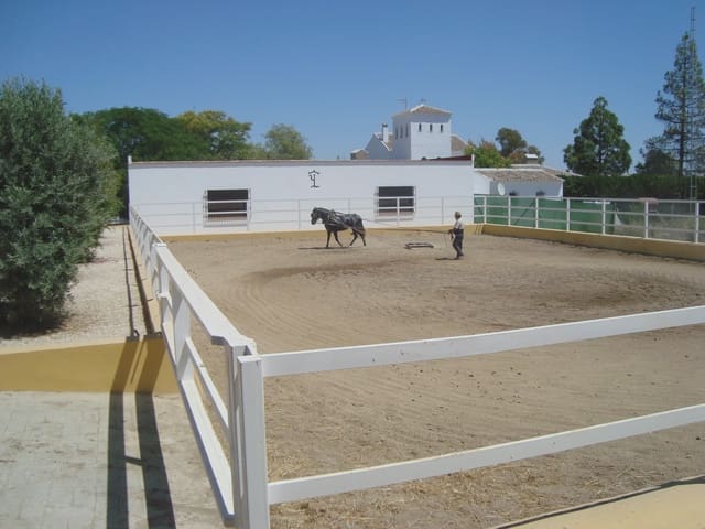 5 soverom Finca/Herregård til salgs i La Puebla de Cazalla med svømmebasseng garasje - € 750 000 (Ref: 8917440)