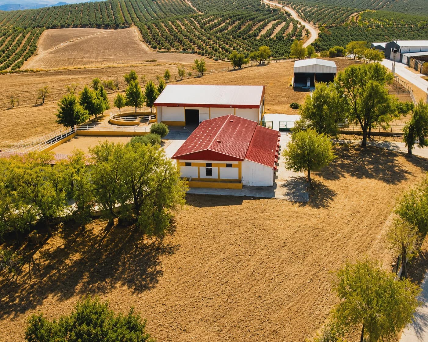 5 chambre Finca/Maison de Campagne à vendre à La Puebla de Cazalla avec piscine garage - 750 000 € (Ref: 8917440)