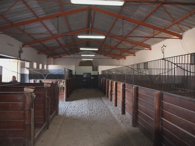 5 soverom Finca/Herregård til salgs i La Puebla de Cazalla med svømmebasseng garasje - € 750 000 (Ref: 8917440)