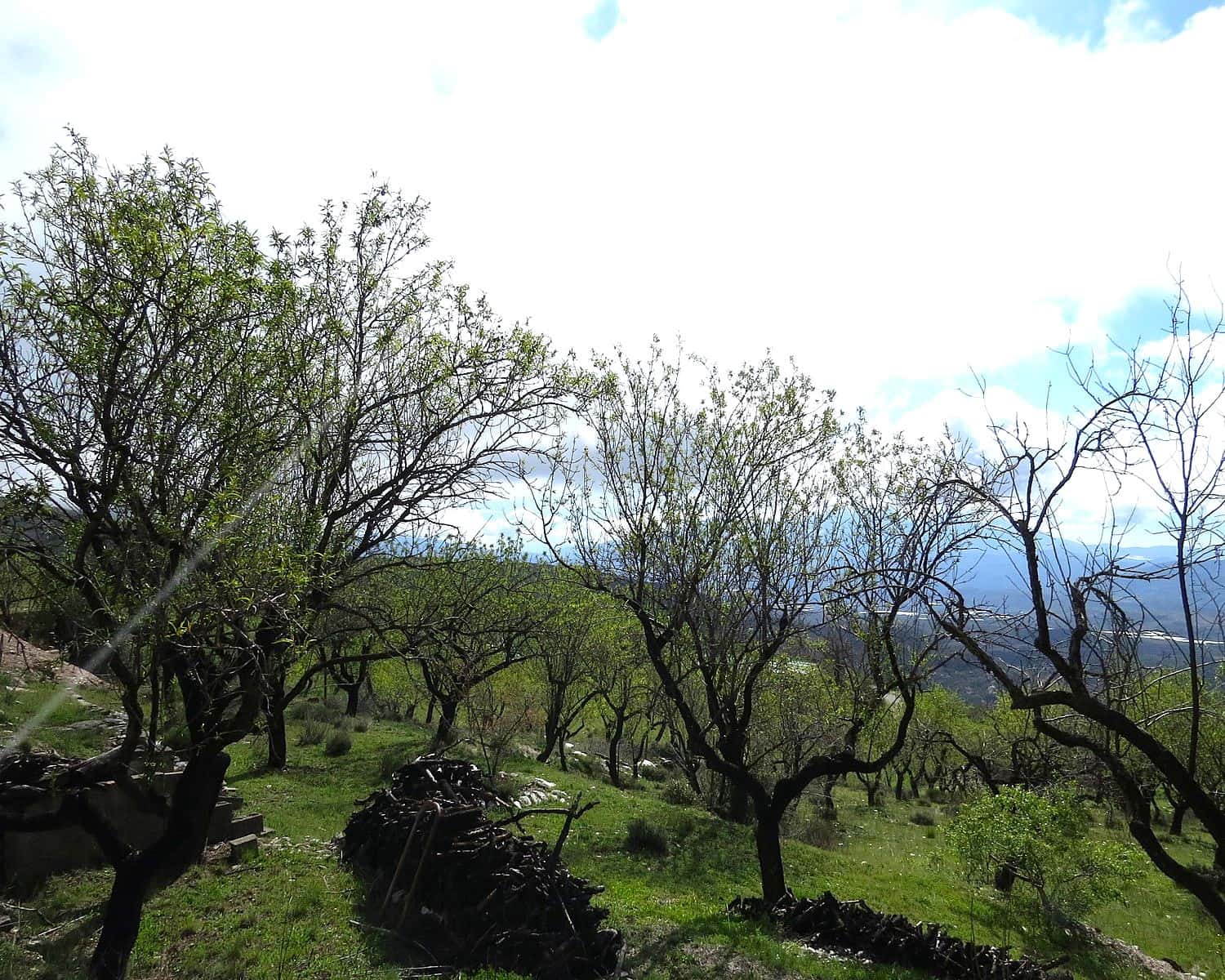 2 soveværelse Finca/Landehus til salg i Mecina Bombaron - € 80.000 (Ref: 9078335)