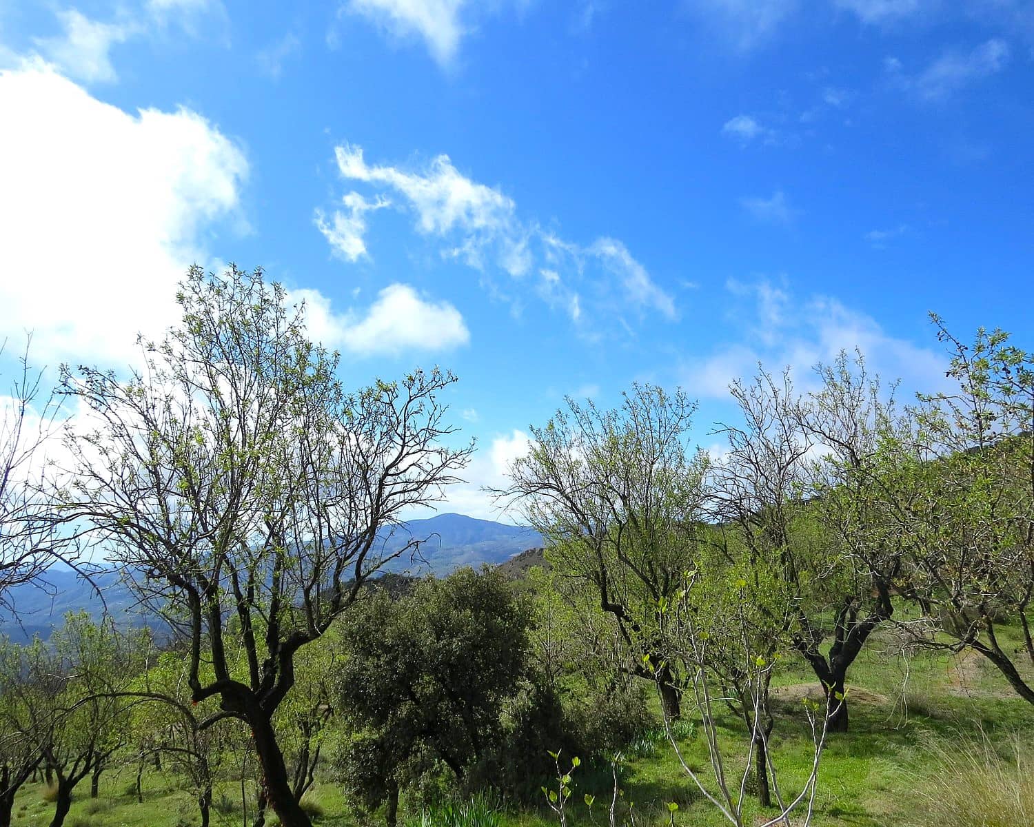 2 soveværelse Finca/Landehus til salg i Mecina Bombaron - € 80.000 (Ref: 9078335)