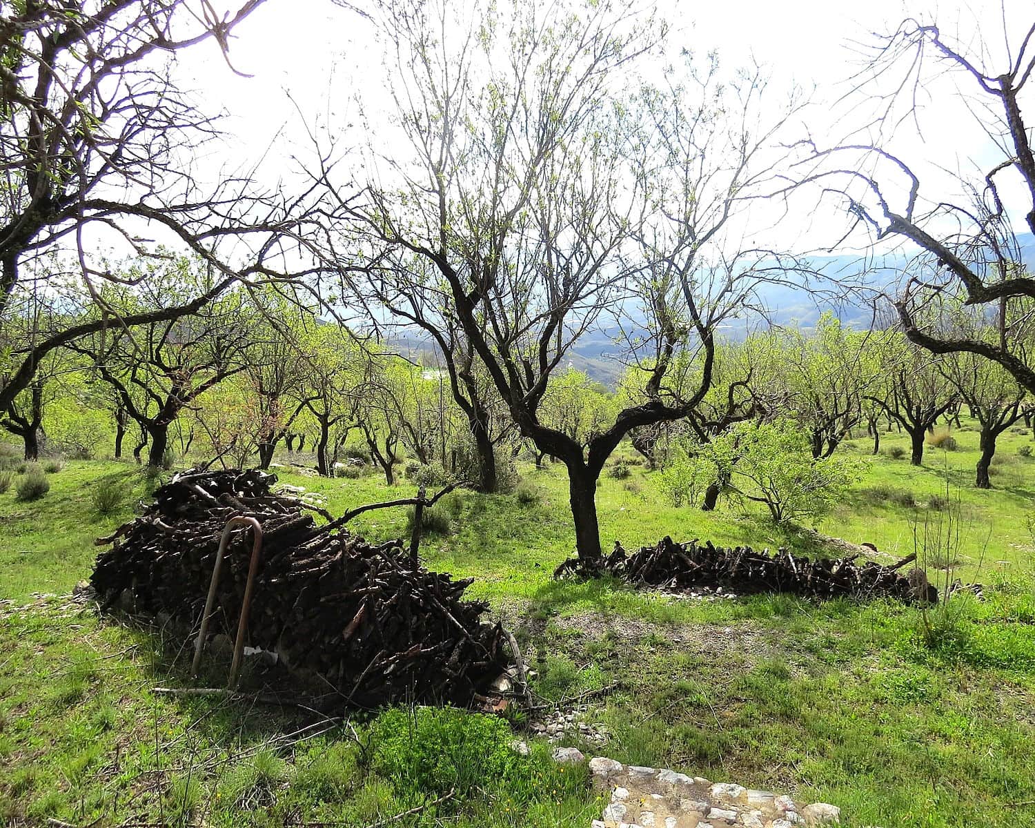 2 soveværelse Finca/Landehus til salg i Mecina Bombaron - € 80.000 (Ref: 9078335)