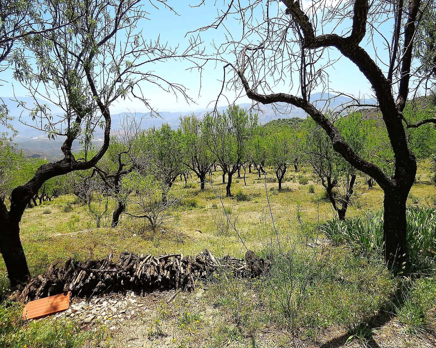 2 soveværelse Finca/Landehus til salg i Mecina Bombaron - € 80.000 (Ref: 9078335)