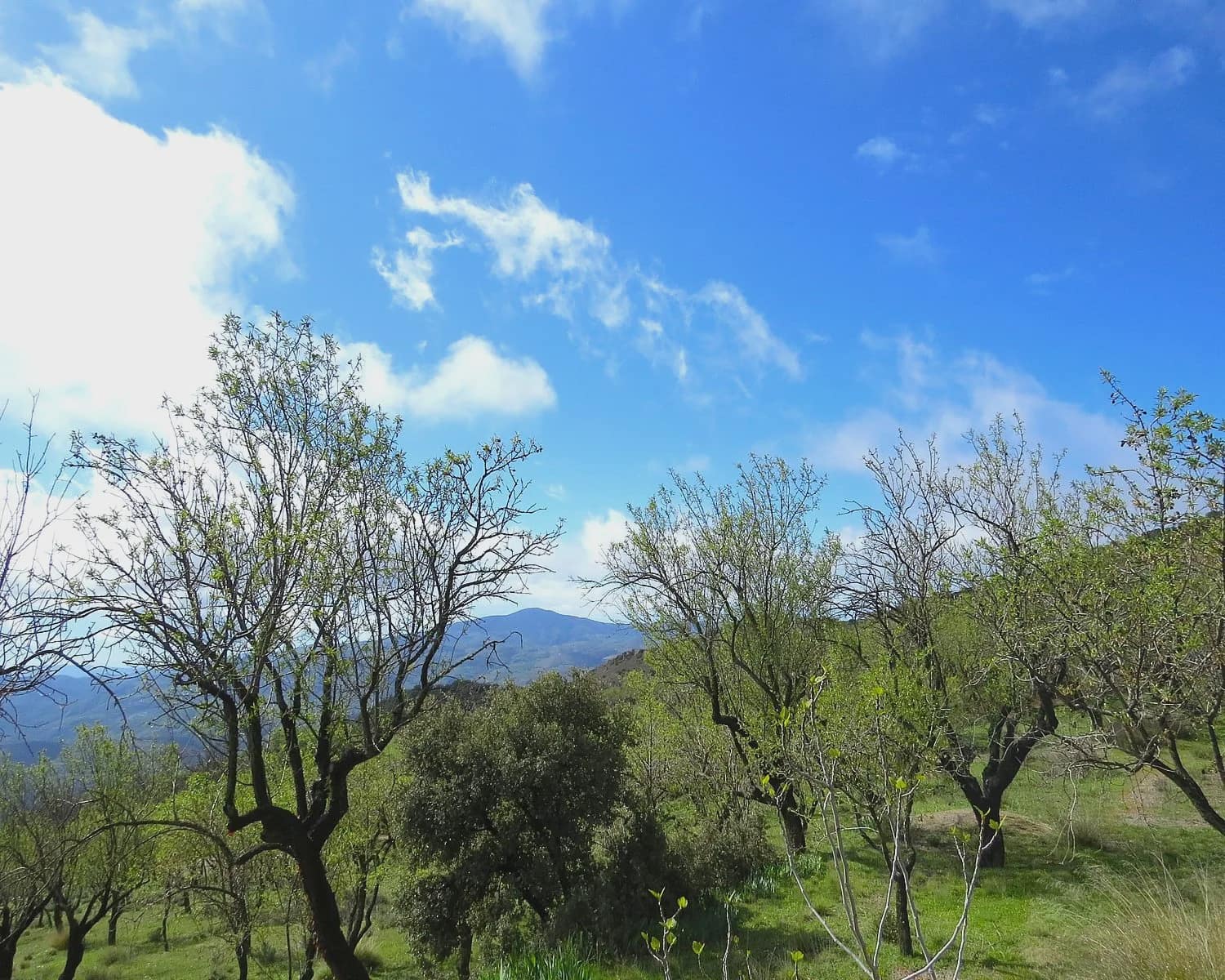 2 soveværelse Finca/Landehus til salg i Mecina Bombaron - € 75.000 (Ref: 9078335)