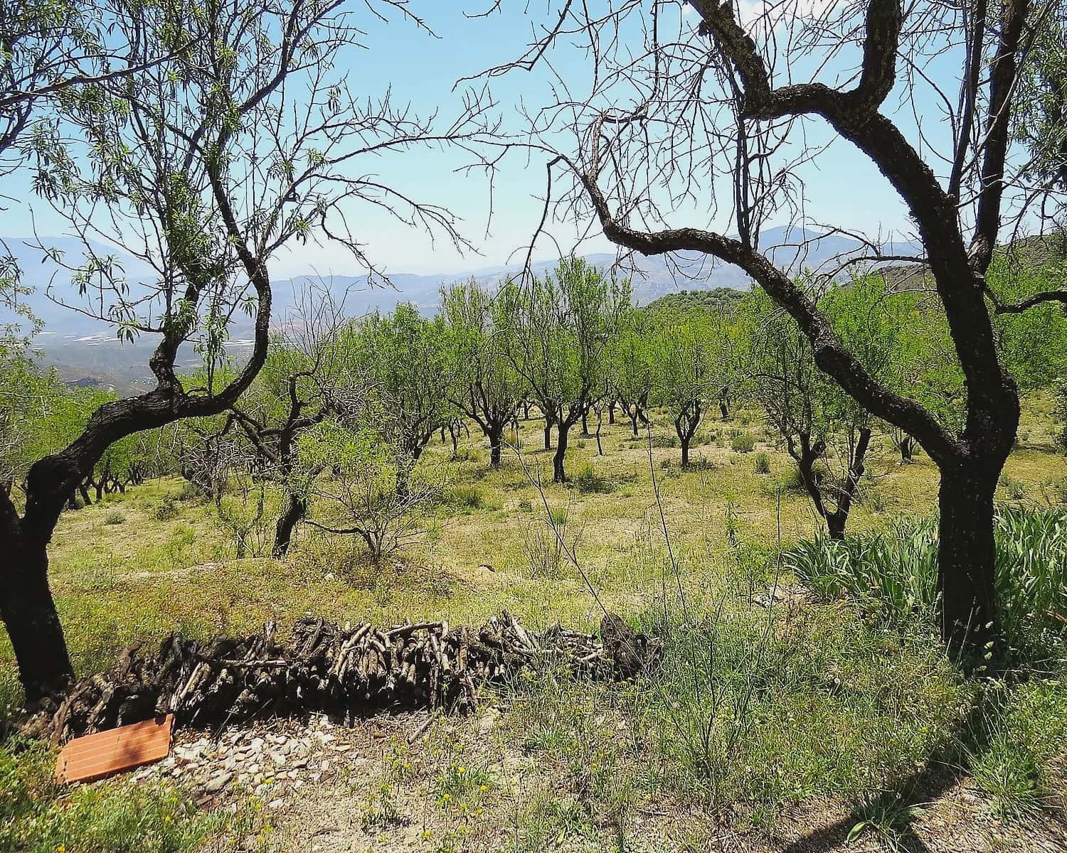 2 soveværelse Finca/Landehus til salg i Mecina Bombaron - € 75.000 (Ref: 9078335)