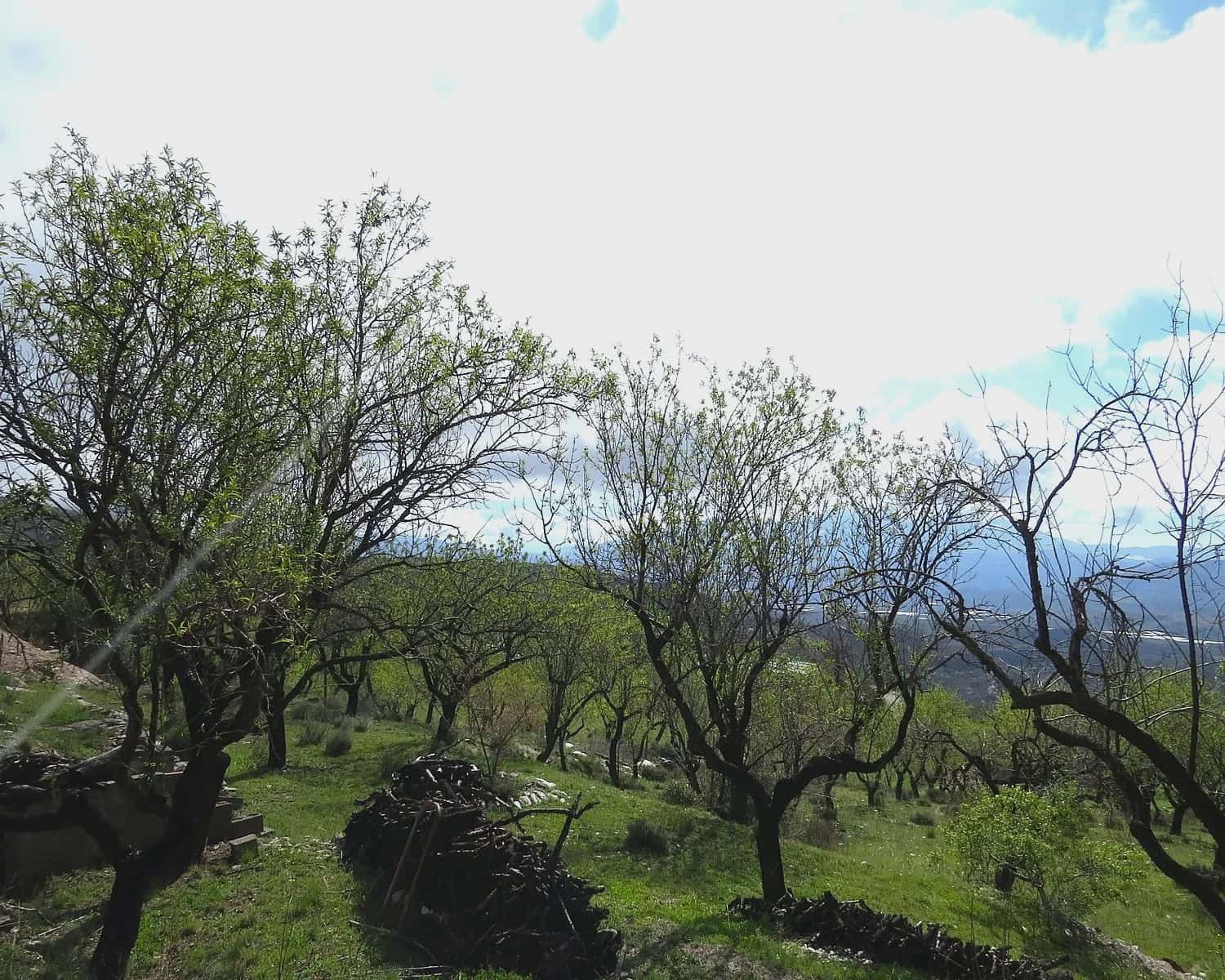 2 soveværelse Finca/Landehus til salg i Mecina Bombaron - € 75.000 (Ref: 9078335)