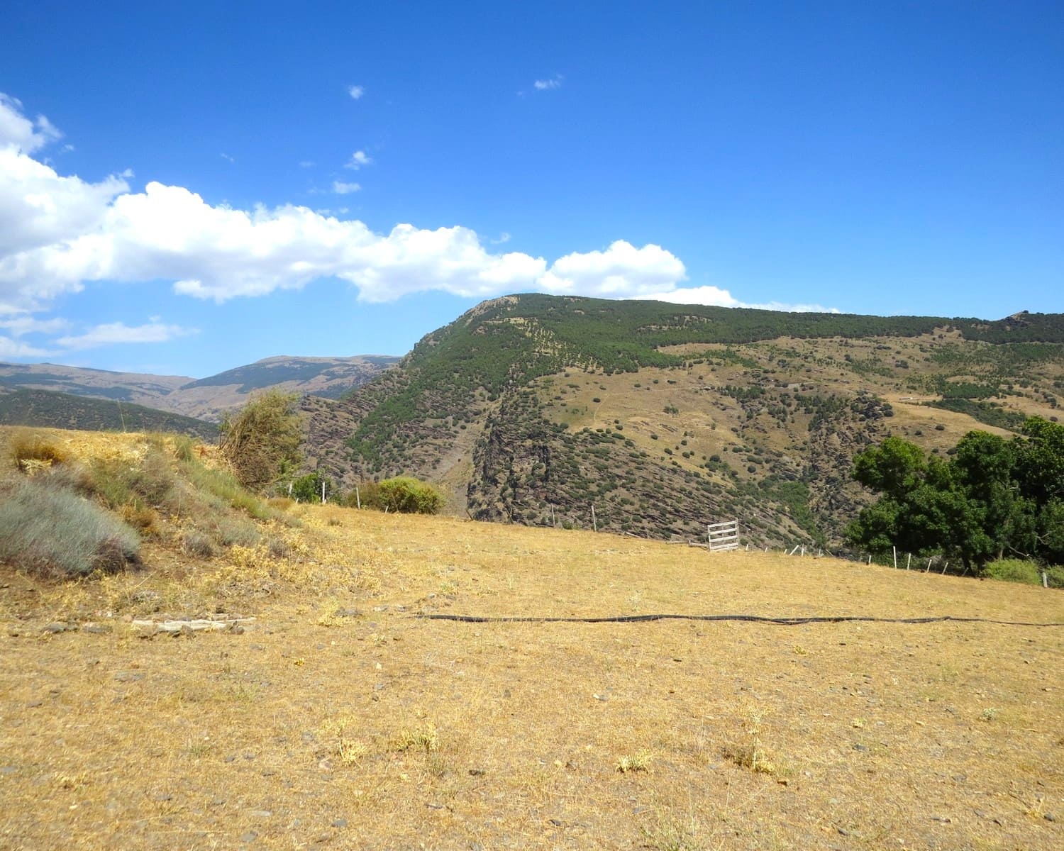 3 soveværelse Finca/Landehus til salg i Berchules - € 300.000 (Ref: 9104936)