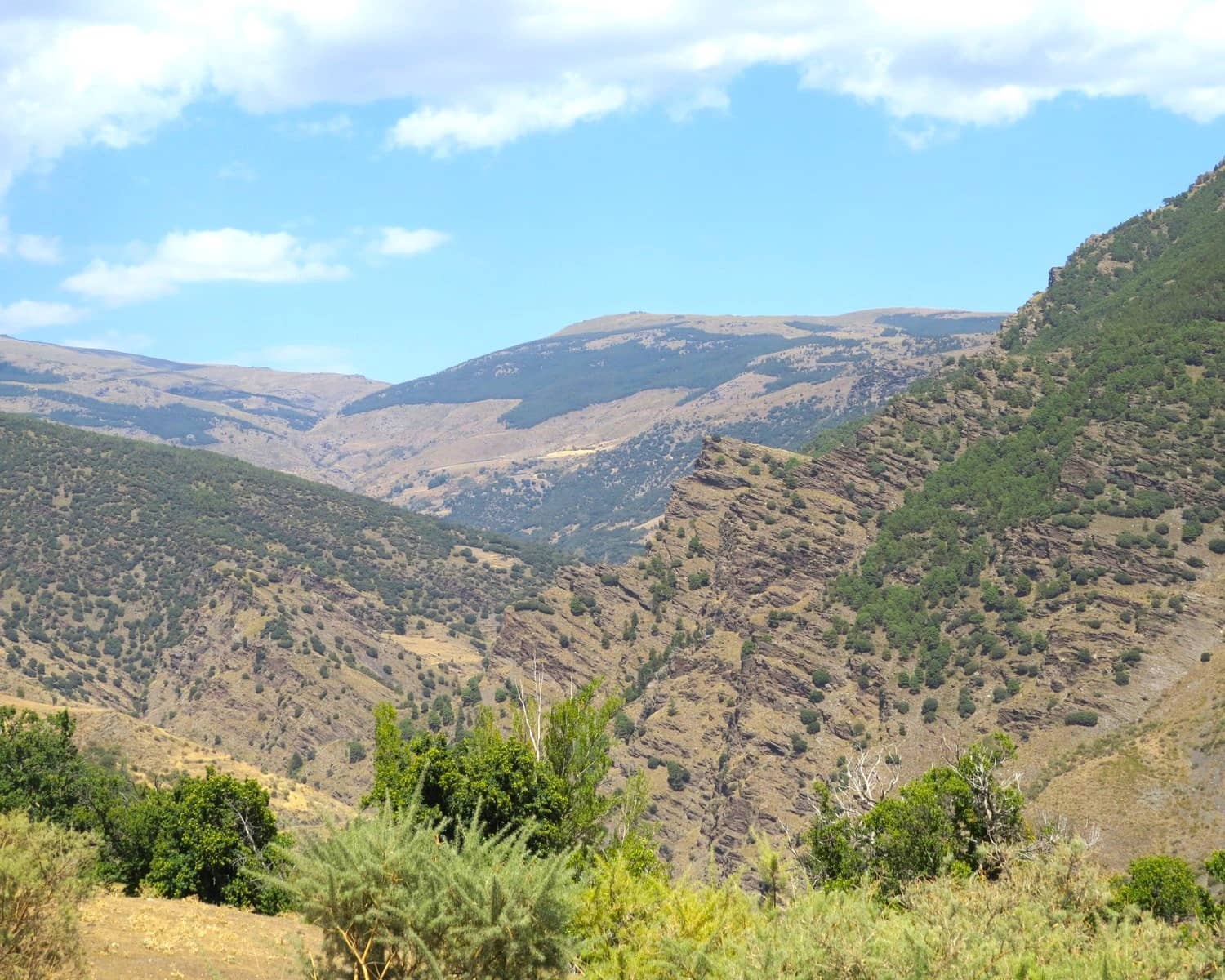 3 soveværelse Finca/Landehus til salg i Berchules - € 300.000 (Ref: 9104936)