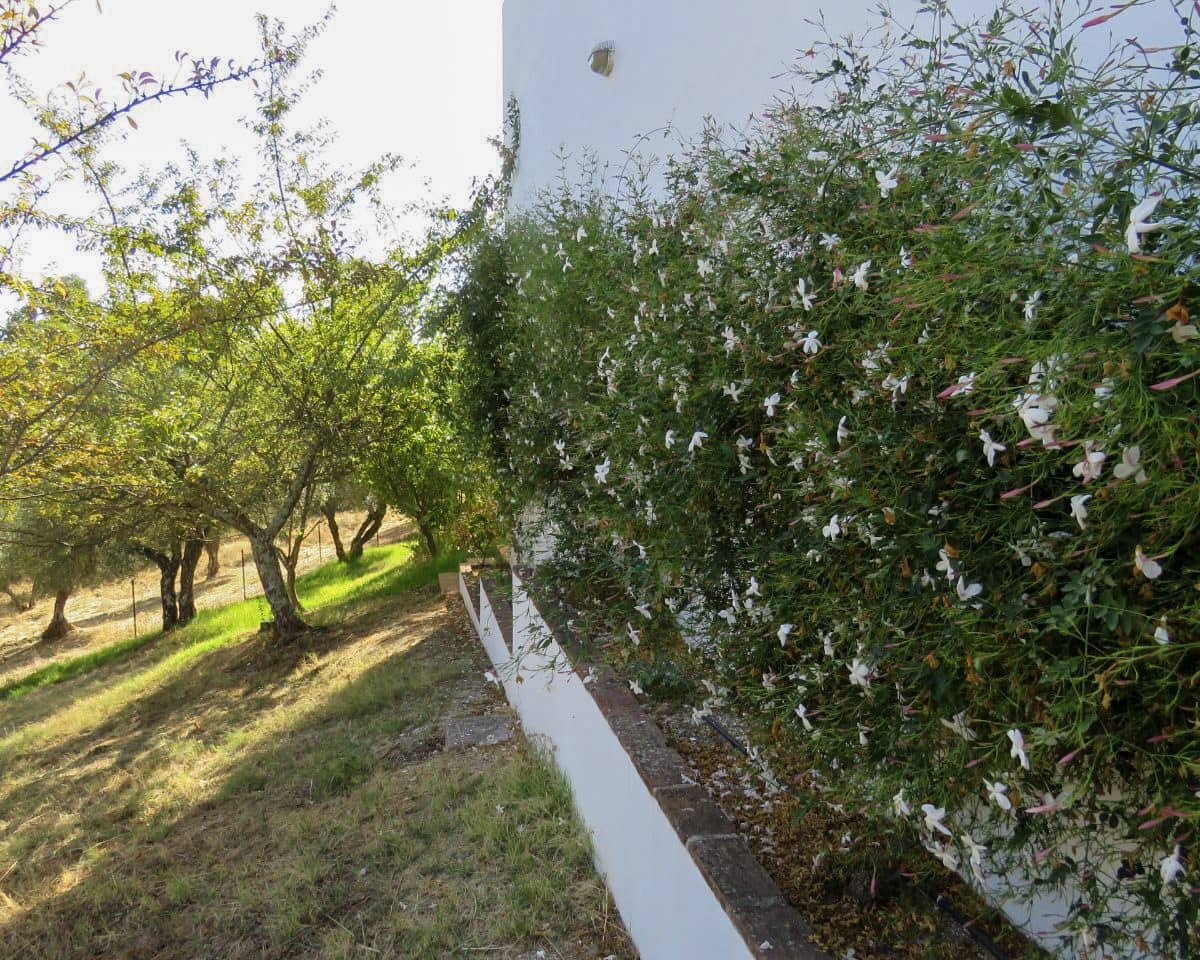 5 soveværelse Finca/Landehus til salg i Cazalla de la Sierra med swimmingpool garage - € 550.000 (Ref: 9248917)