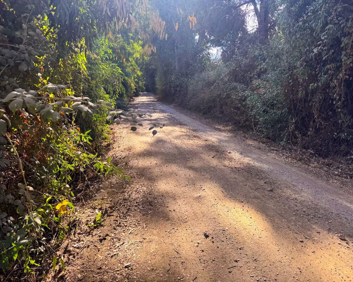 5 soveværelse Finca/Landehus til salg i Cazalla de la Sierra med swimmingpool garage - € 550.000 (Ref: 9248917)