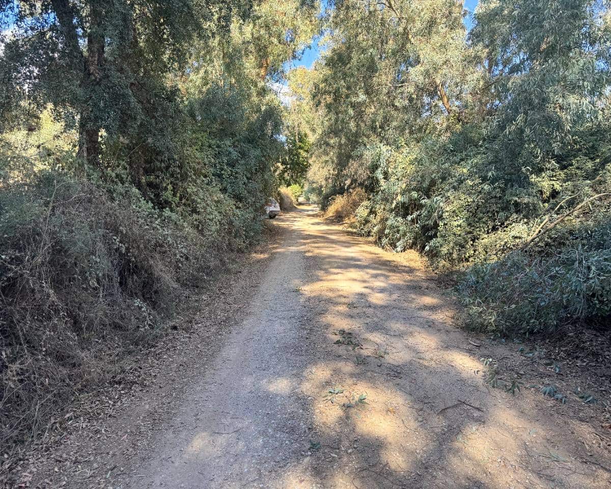 5 soveværelse Finca/Landehus til salg i Cazalla de la Sierra med swimmingpool garage - € 550.000 (Ref: 9248917)