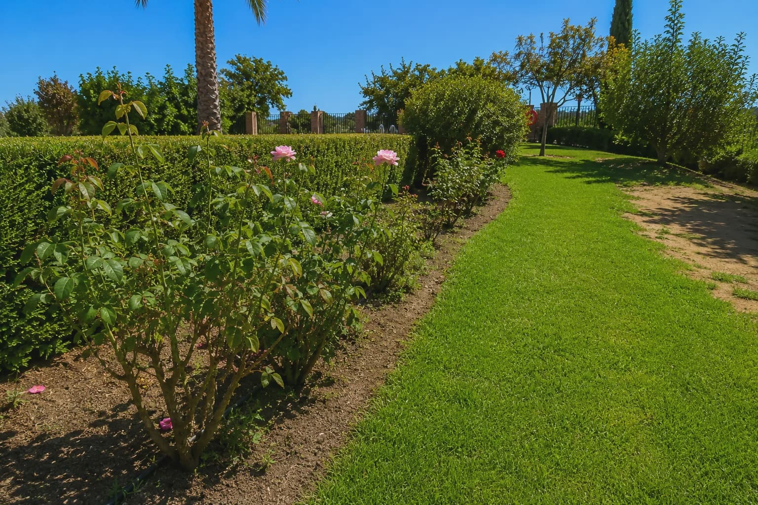 5 soveværelse Finca/Landehus til salg i Cazalla de la Sierra med swimmingpool garage - € 550.000 (Ref: 9248917)