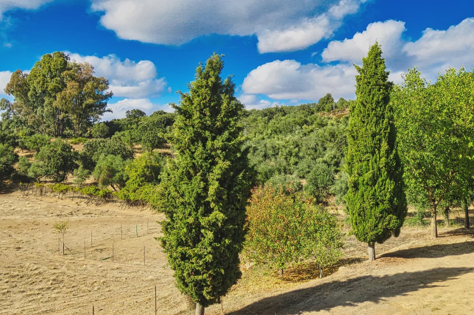 5 soveværelse Finca/Landehus til salg i Cazalla de la Sierra med swimmingpool garage - € 550.000 (Ref: 9248917)