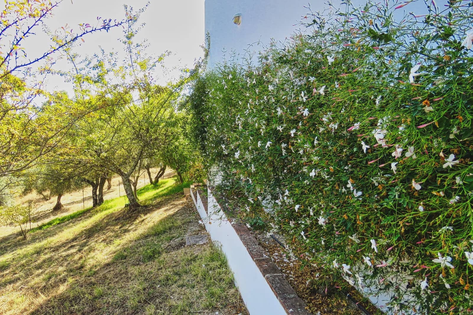 5 soveværelse Finca/Landehus til salg i Cazalla de la Sierra med swimmingpool garage - € 550.000 (Ref: 9248917)