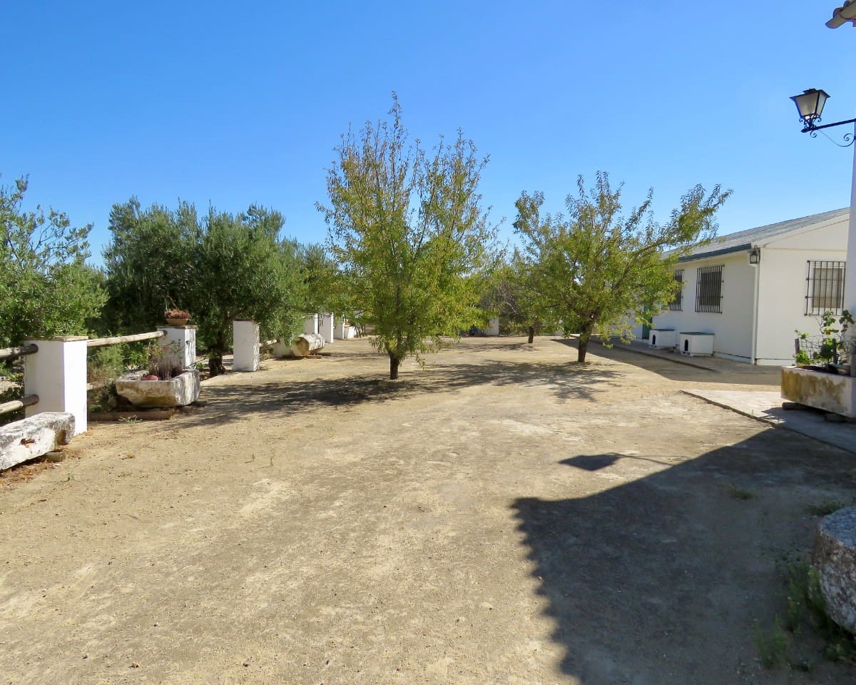 7 soverom Finca/Herregård til salgs i Osuna med svømmebasseng - € 750 000 (Ref: 9268987)