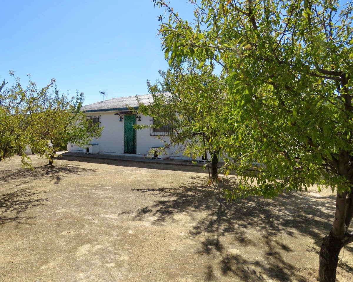 7 soverom Finca/Herregård til salgs i Osuna med svømmebasseng - € 750 000 (Ref: 9268987)