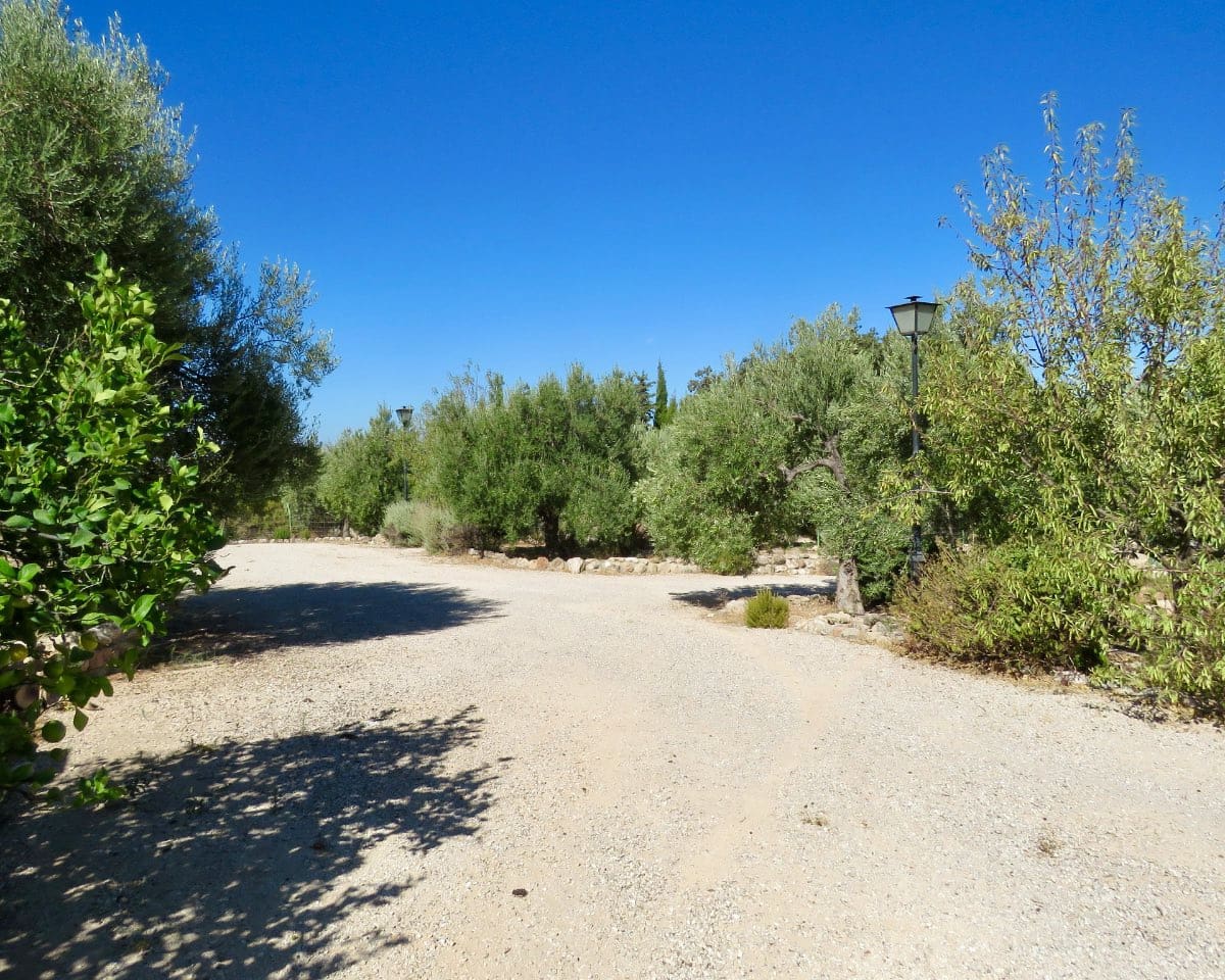 7 soverom Finca/Herregård til salgs i Osuna med svømmebasseng - € 750 000 (Ref: 9268987)