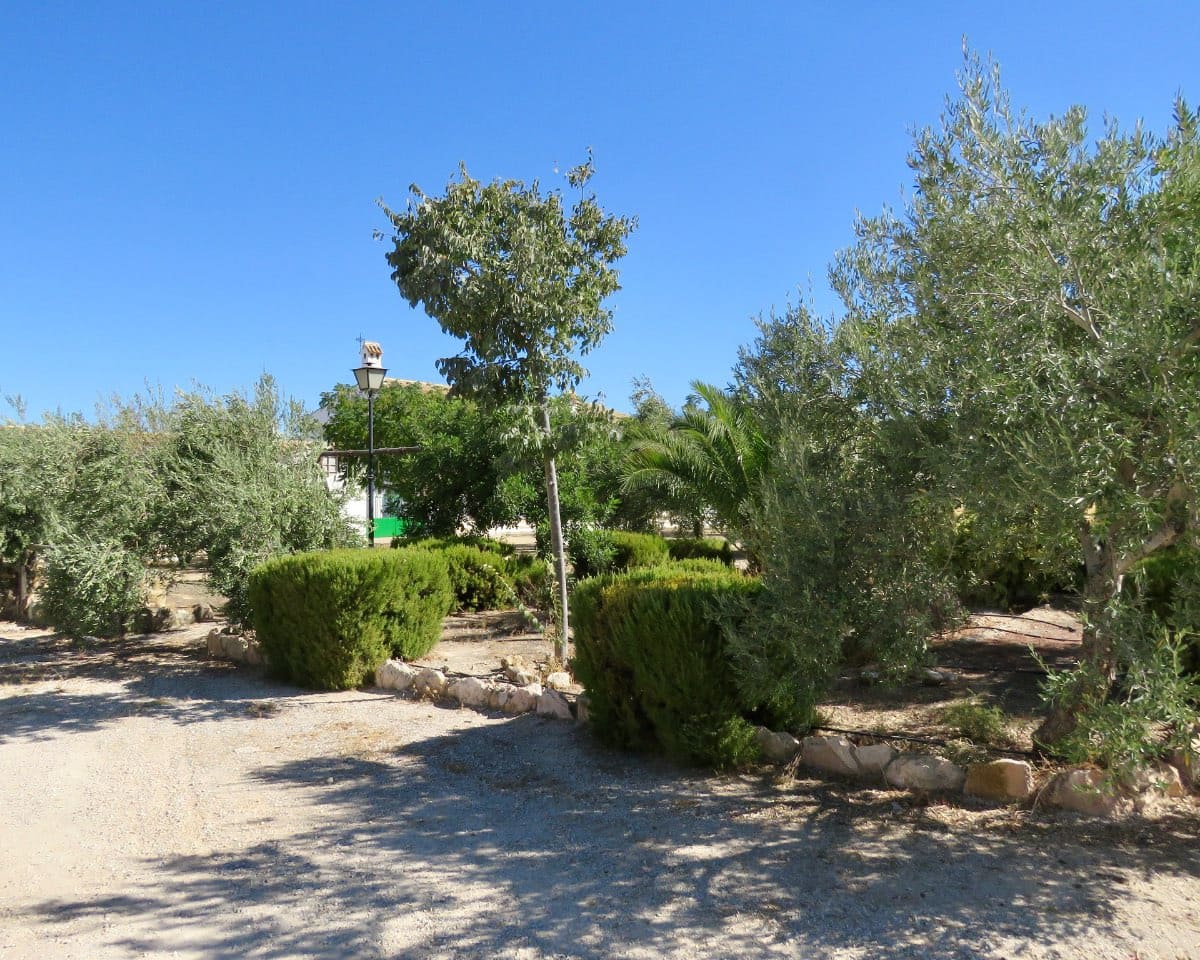 7 soverom Finca/Herregård til salgs i Osuna med svømmebasseng - € 750 000 (Ref: 9268987)