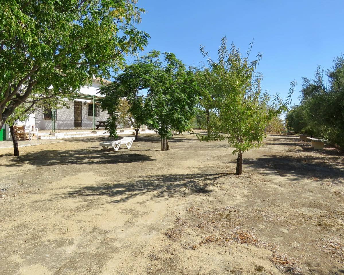 7 soverom Finca/Herregård til salgs i Osuna med svømmebasseng - € 750 000 (Ref: 9268987)