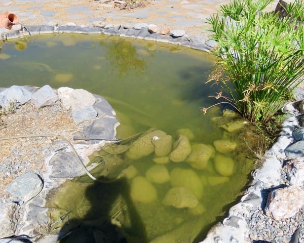 4 soveværelse Finca/Landehus til salg i Carataunas med swimmingpool garage - € 230.000 (Ref: 9270542)