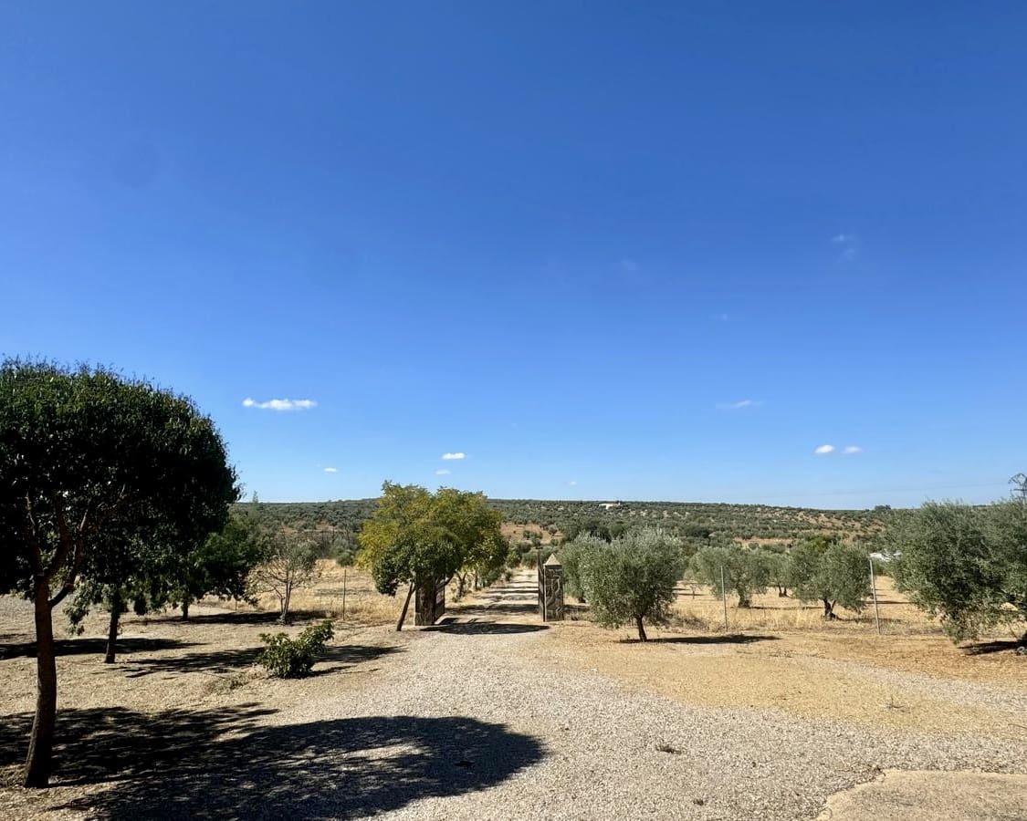 3 slaapkamer Finca/Landhuis te koop in Berlanga - € 230.000 (Ref: 9325454)