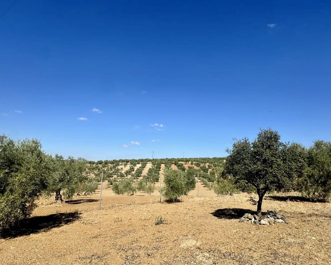 3 slaapkamer Finca/Landhuis te koop in Berlanga - € 230.000 (Ref: 9325454)