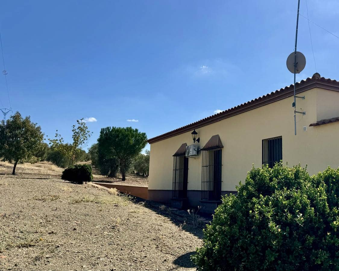 3 slaapkamer Finca/Landhuis te koop in Berlanga - € 230.000 (Ref: 9325454)