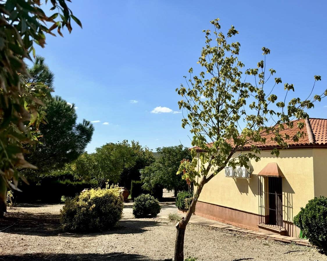 3 slaapkamer Finca/Landhuis te koop in Berlanga - € 230.000 (Ref: 9325454)