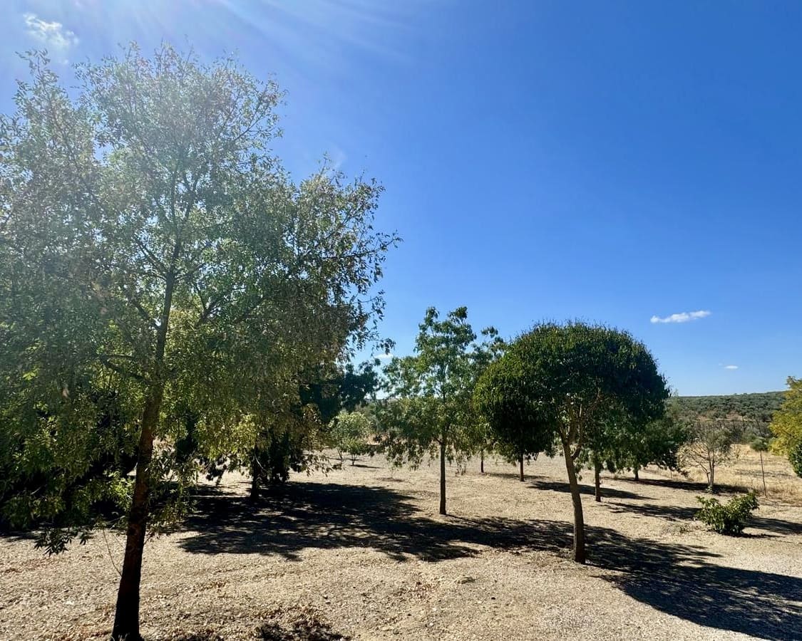 3 slaapkamer Finca/Landhuis te koop in Berlanga - € 230.000 (Ref: 9325454)