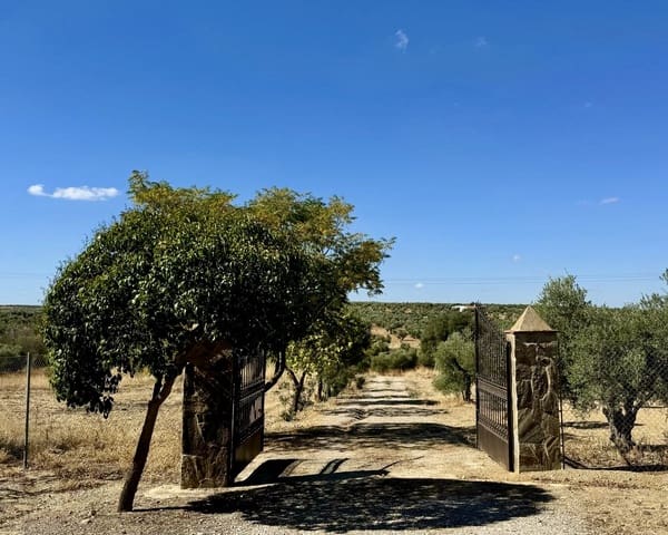 3 bedroom Finca/Country House for sale in Berlanga - € 230,000 (Ref: 9325454)
