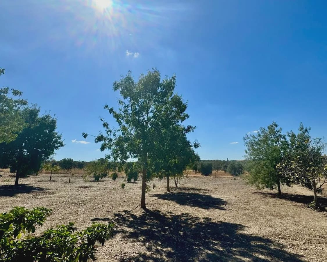 3 soveværelse Finca/Landehus til salg i Berlanga med swimmingpool garage - € 195.000 (Ref: 9325454)