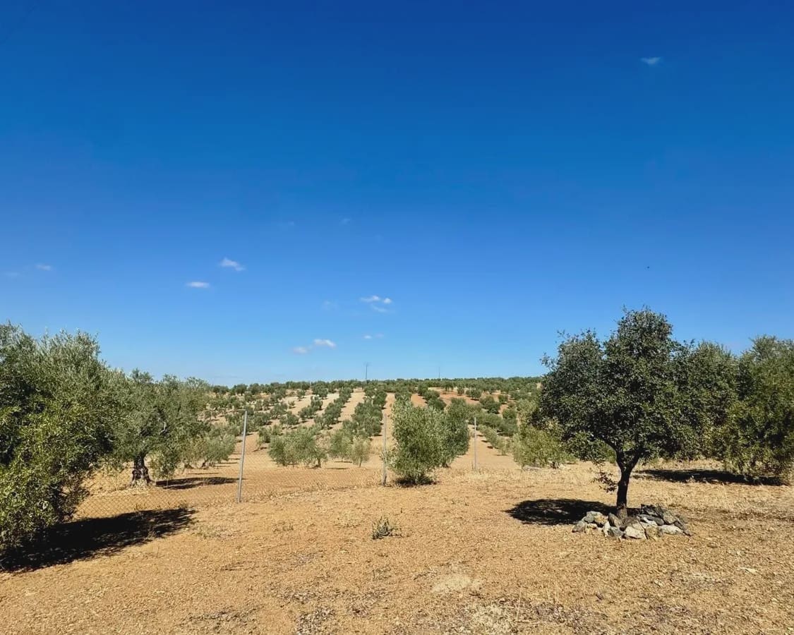 3 soveværelse Finca/Landehus til salg i Berlanga med swimmingpool garage - € 195.000 (Ref: 9325454)
