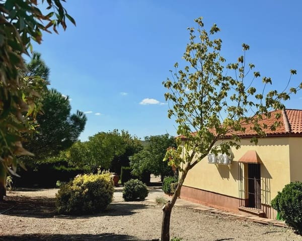 3 Zimmer Finca/Landgut zu verkaufen in Berlanga mit Pool Garage - 195.000 € (Ref: 9325454)
