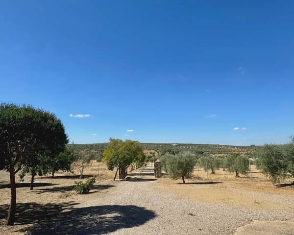 3 Zimmer Finca/Landgut zu verkaufen in Berlanga mit Pool Garage - 195.000 € (Ref: 9325454)