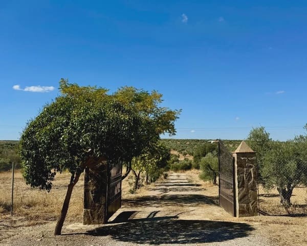 3 Zimmer Finca/Landgut zu verkaufen in Berlanga mit Pool Garage - 195.000 € (Ref: 9325454)