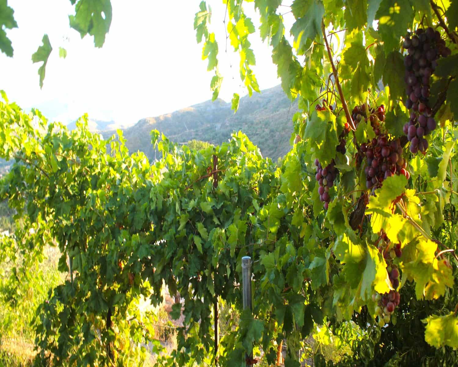 3 makuuhuone Omakotitalo myytävänä paikassa Narila - 150 000 € (Ref: 9347982)