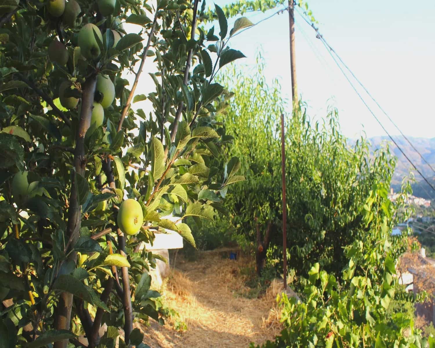 3 Zimmer Finca/Landgut zu verkaufen in Narila - 125.000 € (Ref: 9347982)