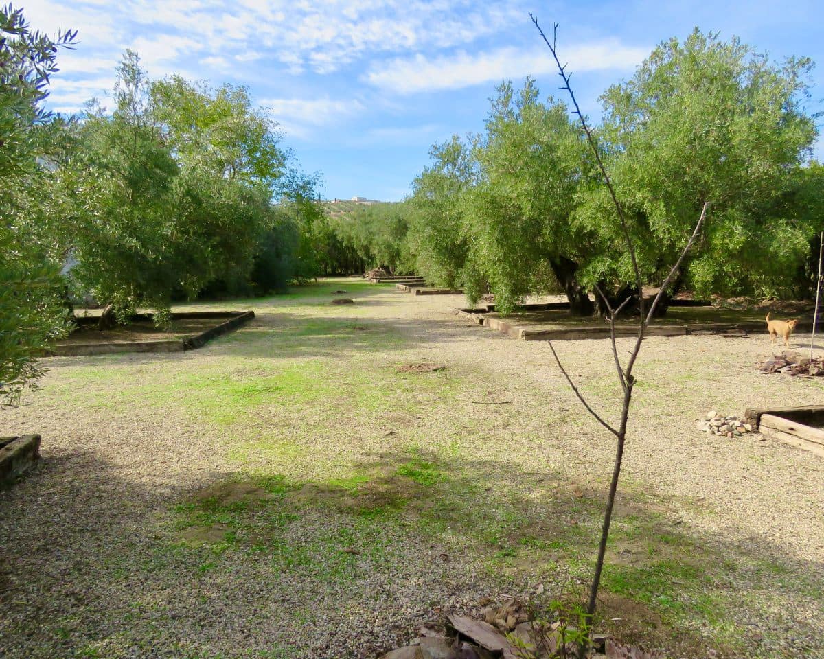 20 soverom Finca/Herregård til salgs i Ubeda med svømmebasseng - € 849 000 (Ref: 9395498)