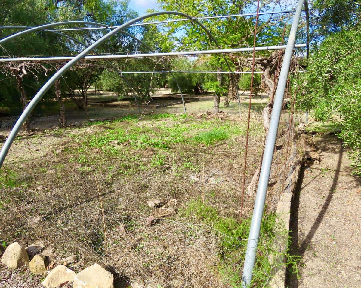 20 soverom Finca/Herregård til salgs i Ubeda med svømmebasseng - € 849 000 (Ref: 9395498)